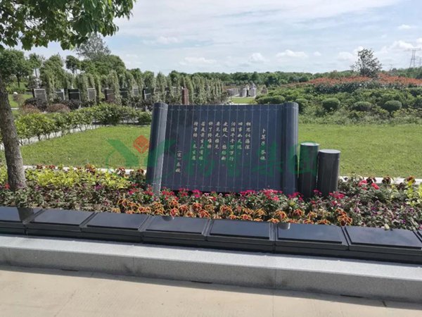 itb8888通博(中国区)官方网站